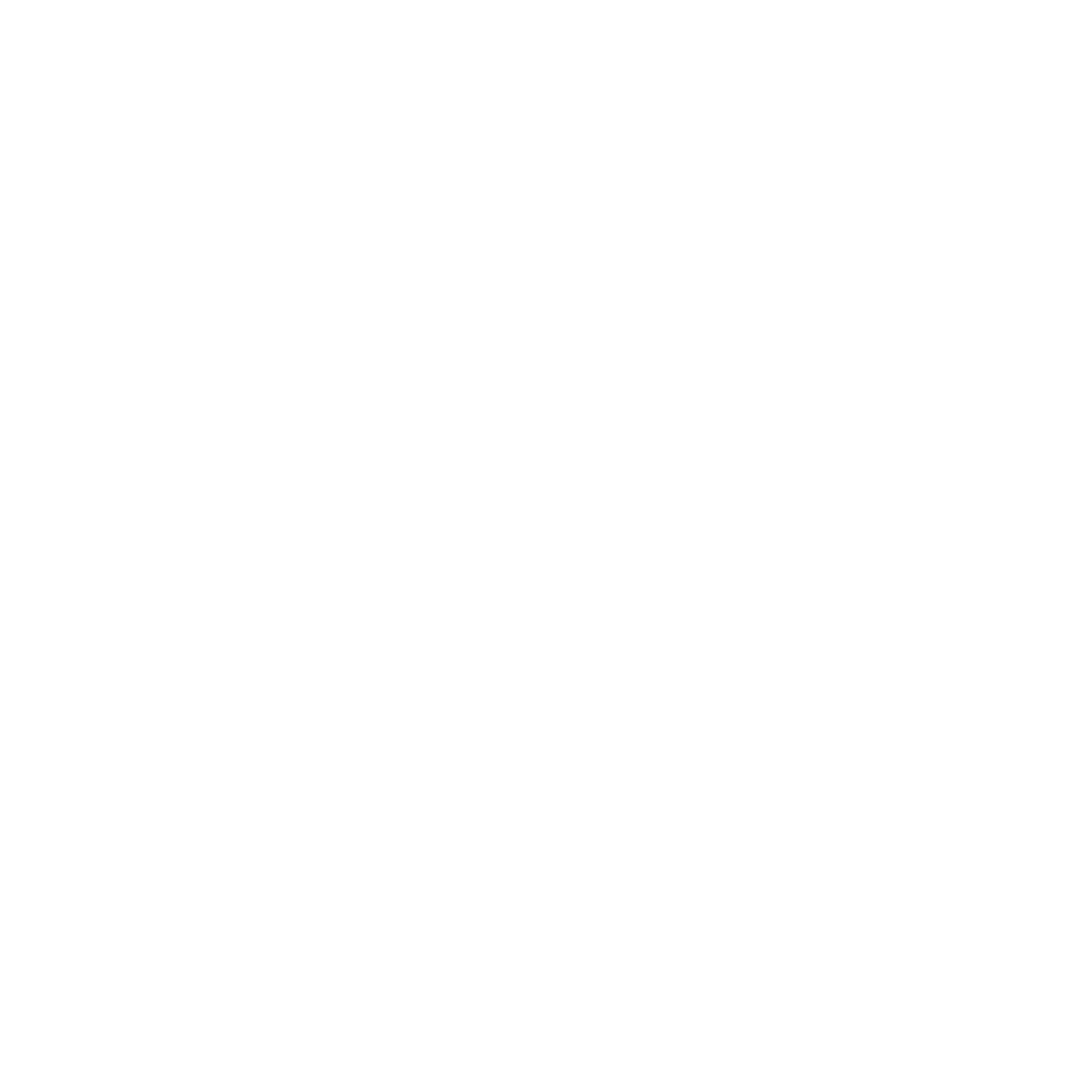 Level Ground logo